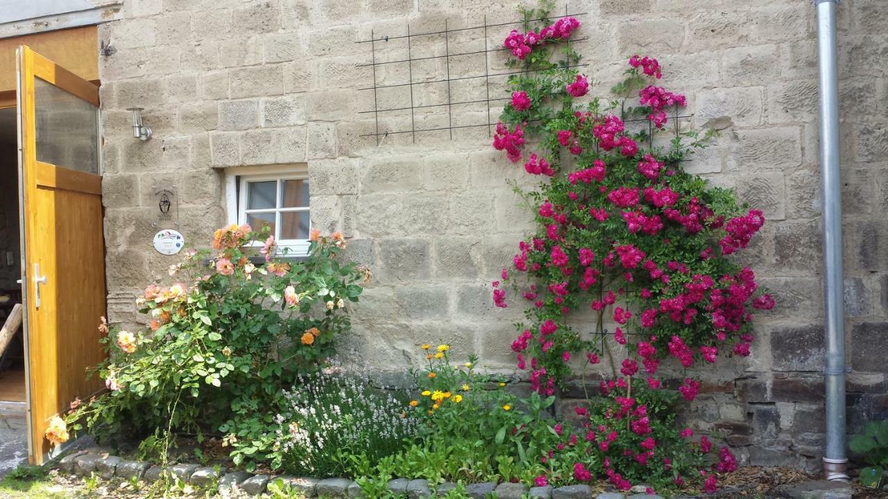 Marcos Heuboden Bed & Breakfast Oberzissen ภายนอก รูปภาพ